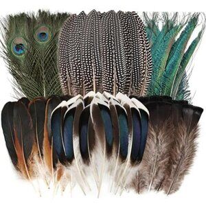 Feathers 50pcs Natural Feathers Bulk-6 Style Mixed Decorative Spotted